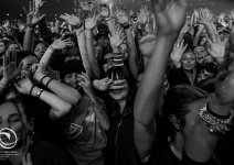 Calcutta @ Carmen Sigillo / ONR