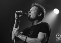 David Duchovny and His Live Band - Milano