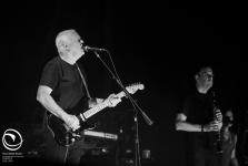 David Gilmour - Verona
