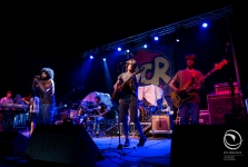 Elpris - Festivalbeer 2015