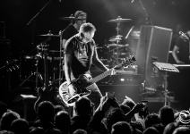 Peter_Hook_-_Apolo_-_2017-11-25_(1)