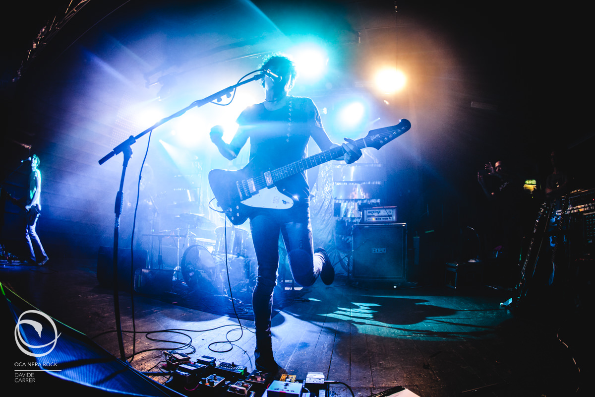 01 zencircus treviso 20161119