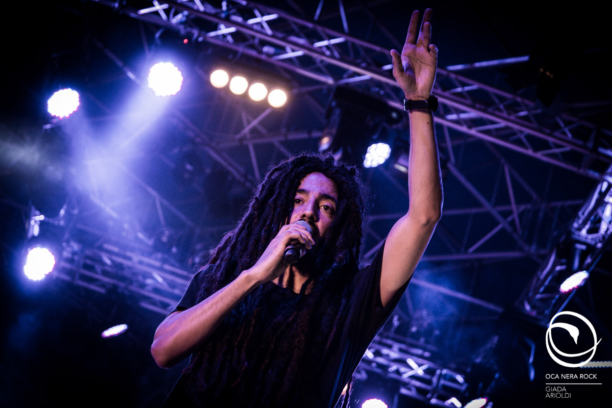 11 Mellow Mood Filago BG 20180805