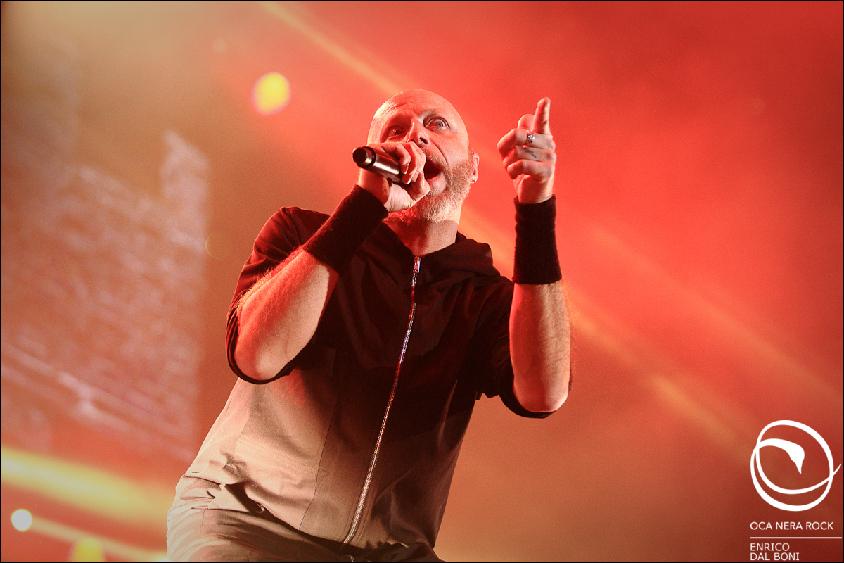 13 Negrita Bologna 20180410